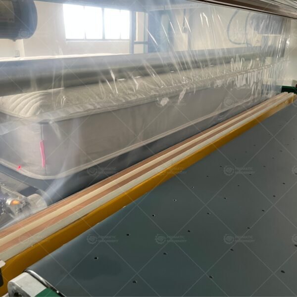 PM-FAP-1 Automatic Mattress Packing Line - 图片 3