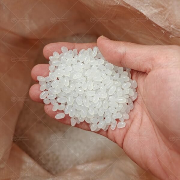 Hot Melt Glue